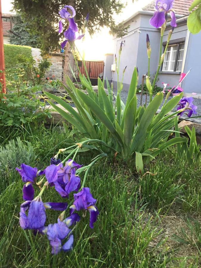 Luis Golyas Haza Villa Raposka Exteriör bild