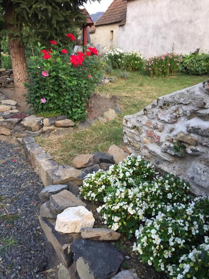 Luis Golyas Haza Villa Raposka Exteriör bild