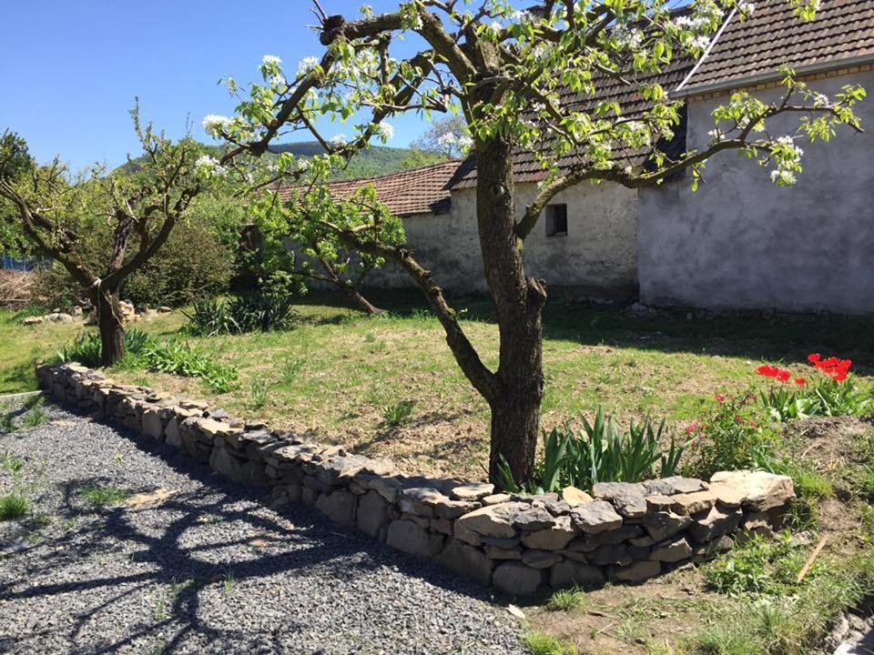 Luis Golyas Haza Villa Raposka Exteriör bild