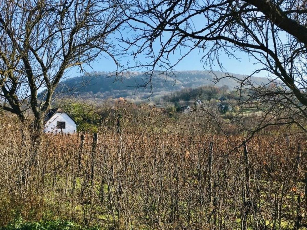 Luis Golyas Haza Villa Raposka Exteriör bild